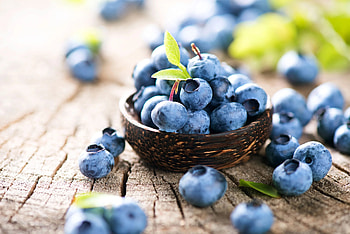 Delectable blueberry puree, Versatile and flavorful, Perfect for desserts and toppings, Bursting with fruity goodness HD wallpaper