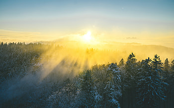 Beautiful Morning Sunrise , sunrise, morning, nature HD wallpaper