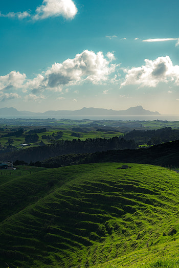 Nature, Grass, Mountains, Horizon, New Zealand, Hills, Whangarei HD phone wallpaper