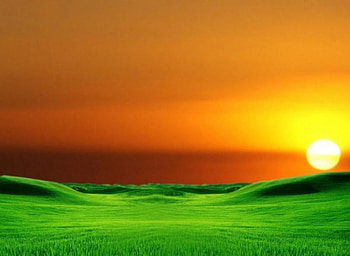 Orange And Green Landscape , sunny, clean, landscape, orange, sunrise, green, fields, nature, grass fields, sun, sunset HD wallpaper