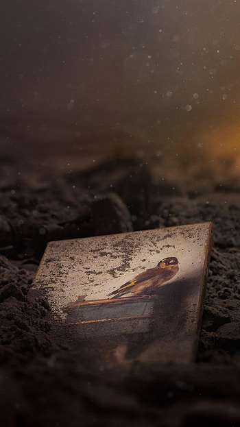 The Goldfinch (2022) movie HD phone wallpaper