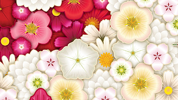 Red White Pink Flowers Art Abstraction Abstract HD wallpaper