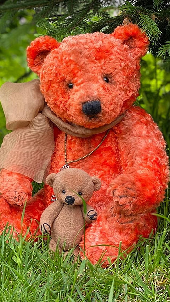 Teddy Bear Wale, Orange Teddy Bear, orange, teddy bear, grass background HD phone wallpaper