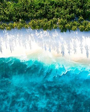 Nature, Water, Sea, Beach, Sand, Palms, View From Above HD phone wallpaper
