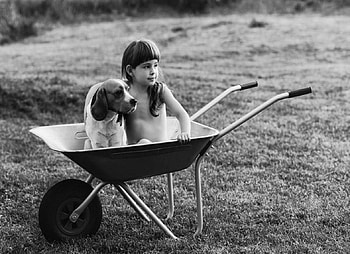 Little Friends, dog, summer, graphy, black and white, cute, girl, enjoyment HD wallpaper