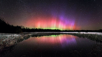 Northern Lights Display This Morning - Maine USA, trees, colors, reflections, lake, usa HD wallpaper