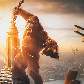 King Kong, Plane ipad air HD phone wallpaper