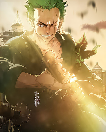 Roronoa zoro, luffy, one piece, anime HD phone wallpaper