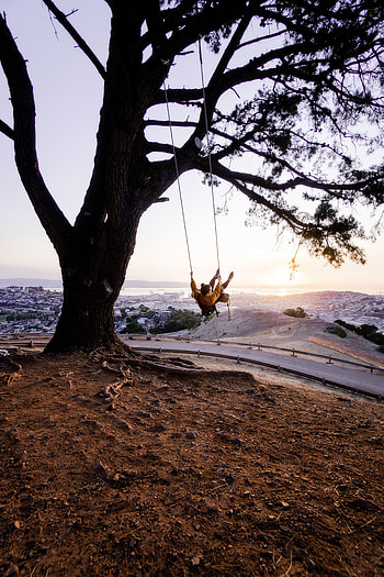 Nature, Miscellanea, Miscellaneous, Wood, Tree, Girl, View, Swing HD phone wallpaper