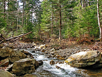 Nature, Rivers, Stones, Mountain, Forest, Ukraine, Carpathians HD wallpaper