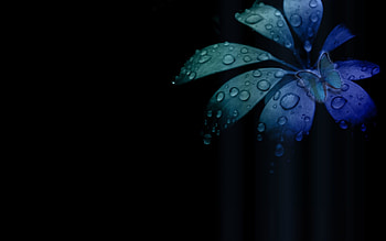 Professional Business Backgrounds This pro module supports . HD wallpaper