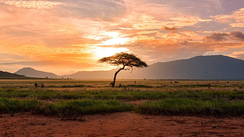 Africa Travels, Hidden gems, Untamed wilderness, Rich heritage HD wallpaper