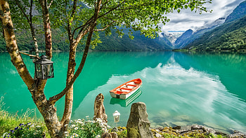 Lake Oldevatnet, Stryn, Norway, reflections, wildflowers, boat, landscape, trees, water, mountains HD wallpaper