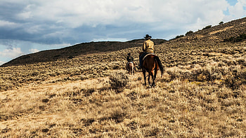 Yellowstone TV series, Lasting substance, Write to reel, Compelling storyline HD wallpaper