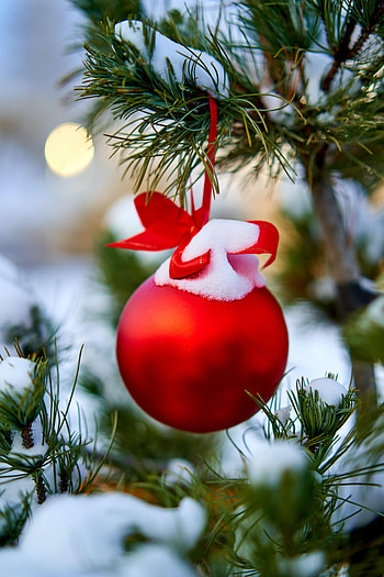 Holidays, New Year, Snow, Christmas, Ball, Christmas Tree, Decoration HD phone wallpaper