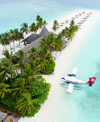 Maldives, Tropical beaches, resort, palm trees, aerial view HD phone wallpaper