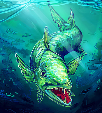 Barracuda artwork, ArtStation, Bravado design, Creative inspiration HD phone wallpaper