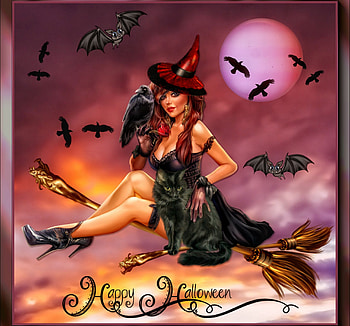 HAPPY HALLOWEEN, BROOM, BIRD, HALLOWEEN, BATS, FEMALE, MOON, CAT, WITCH HD wallpaper