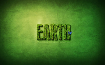 Funny HD wallpaper