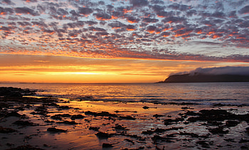 Sea, Nature, Sunset, Twilight, Beach, Dusk HD wallpaper