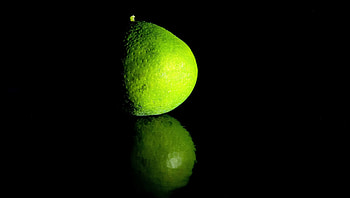macro, food HD wallpaper