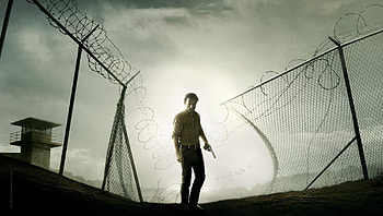 The Walking Dead (2022) movie HD wallpaper