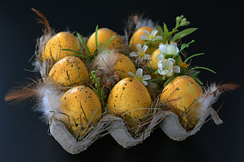 Holidays, Flowers, Eggs, Easter, Decorations, Feather, Easter Eggs HD wallpaper