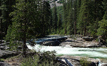Nature, Rivers, Trees, Grass, Waterfall HD wallpaper