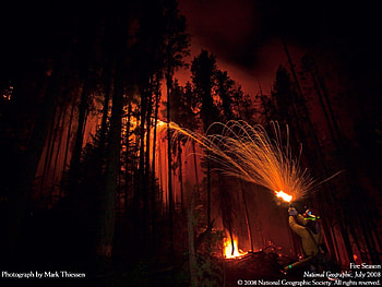 firefighter , firefighter, forest fire HD wallpaper