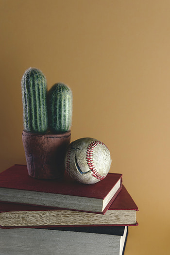Books, Miscellanea, Miscellaneous, Ball, Cactus HD phone wallpaper