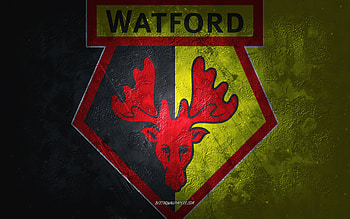 Watford FC, English football club, yellow black stone background, Watford FC logo, grunge art, Premier League, football, England, Watford FC emblem HD wallpaper
