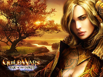 Eye of the North, brown eyes, games, tree, armor, video games, guild wars, blonde hair, sunset, female HD wallpaper