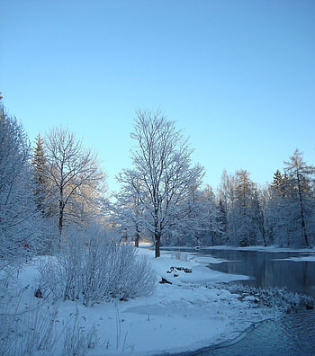 Landscape, Winter, Rivers, Trees, Snow HD phone wallpaper