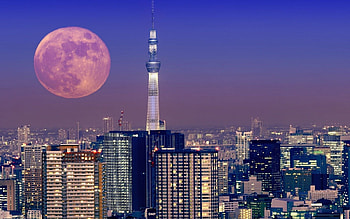 Tokyo, Japanese culture, Traveller's paradise, Vibrant cityscape HD wallpaper