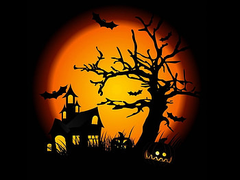 Halloween moon, night, halloween, holiday, october 31, moon, house, pumpkin, bat HD wallpaper