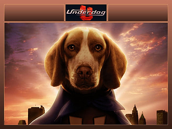 Underdog, classic, tv, cartoon, hero, movie, funny, remake HD wallpaper