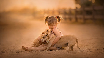 Cute Little Girl Is Sitting On Beach Sand Playing With Puppies In Blur Background Wearing Pink Dress Cute HD wallpaper