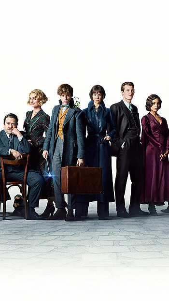 Tina Goldstein, Crimes of Grindelwald, Fantastic Beasts, Movie HD phone wallpaper