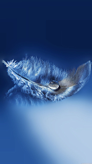 Feather background, Colorful feathers, Artistic , Amazing graphy HD phone wallpaper