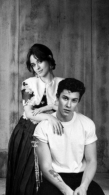 Shawn Mendes, Camila Cabello, Seorita HD phone wallpaper
