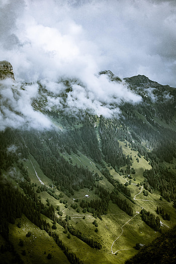 Nature, Trees, Clouds, Rocks, Fog, Slope HD phone wallpaper