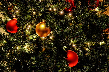 Close-up of a decorated Christmas tree with red and gold ornaments and lights. HD wallpaper