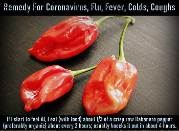 Remedy For Coronavirus, Flu, Fever, Colds, Coughs 3, chills, illness, hot peppers, coughs, fever, quarantine, coronavirus, healing, sweats, sick, hope, ace, virus, retired, very effective, miracles, COVID-19, supernatural, colds, religious, seniors, love, safe, peace, flu, home remedies, faith, pandemic, sniffles, bronchitus, sinusitus, fitness, natural, health, well-being, spiritual HD wallpaper