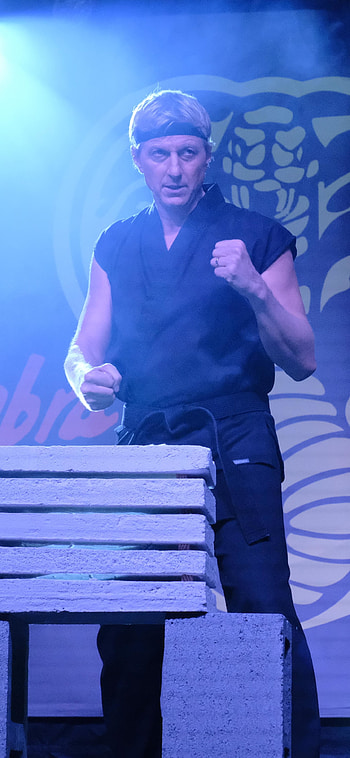 Cobra Kai — Dojo Strike, TV Show HD phone wallpaper