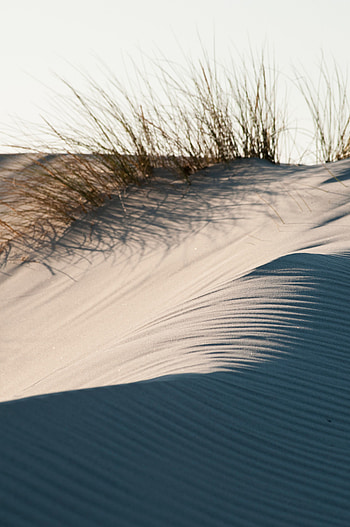 Nature, Grass, Sand, Desert, Dunes, Links HD phone wallpaper