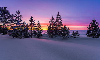 Winter Sunset, colors, trees, sky, snow, clouds HD wallpaper
