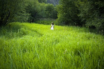 Dreams, summer, grass, dreamy, woman HD wallpaper