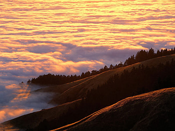 Nature, Trees, Mountains, Clouds, Conifers, Coniferous HD wallpaper