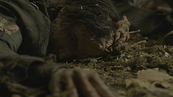 The Last Of Us (2023), TV Show, The Last Of Us HD wallpaper