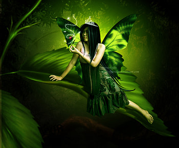 Beautiful Green Fairy, fairy, wings, fantasy, green HD wallpaper